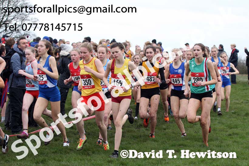 Intermediate girls 2019 New Balance English Schools Cross Country Champs, Temple Newsam, Leeds. Photo:  David T. Hewitson/Sports for All Pics